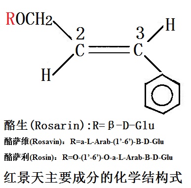 红景天提取物生产厂家有哪些？2024年批发价格多少？