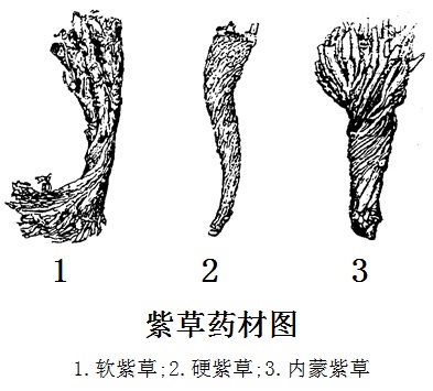 异紫草素结构式图片