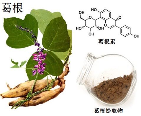 葛根、葛根素结构式、葛根提取物