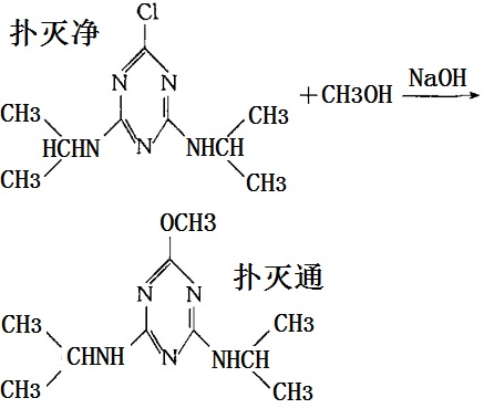 扑灭净与醇反应制得扑灭通的化学反应路线图