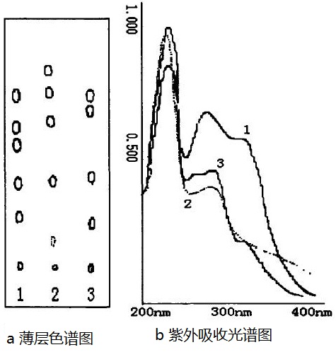 薄层色谱图和紫外吸收光谱图