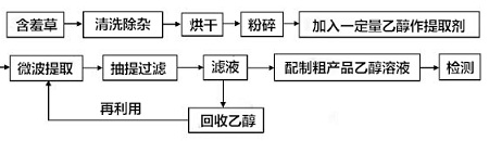 提取含羞草提取物工艺流程图