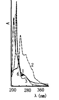 黄精的紫外光谱图