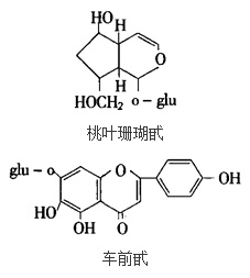 木耳