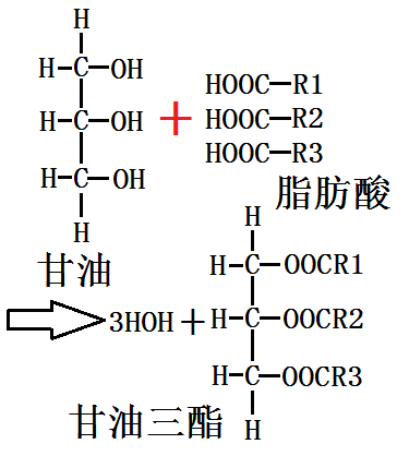 甘油的酯化图