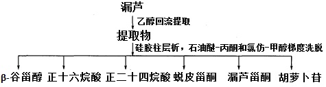 漏芦提取分离