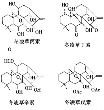  结构式