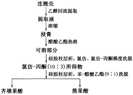 齐墩果酸、熊果酸提取分离