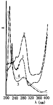 枸杞子的紫外光谱图
