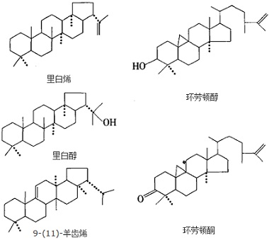 结构式