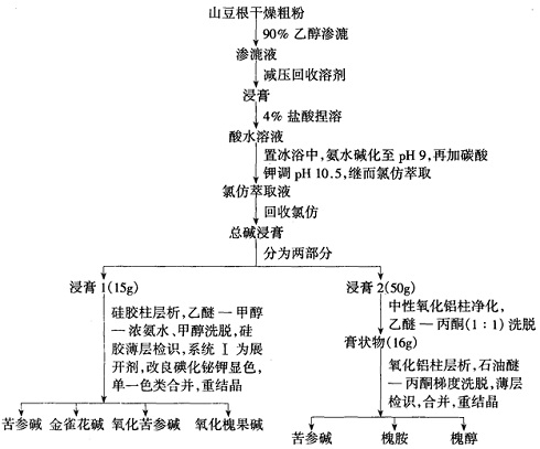 山豆根中生物碱的提取分离