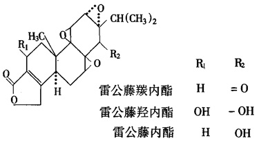 结构式