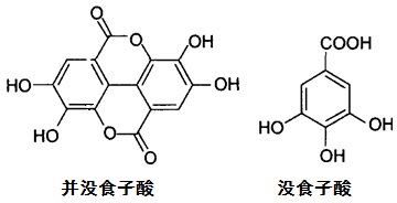 结构式