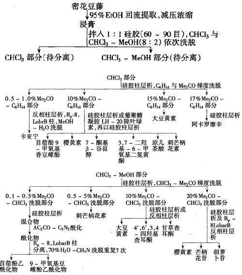 密花豆藤中异黄酮类化学成分的提取分离