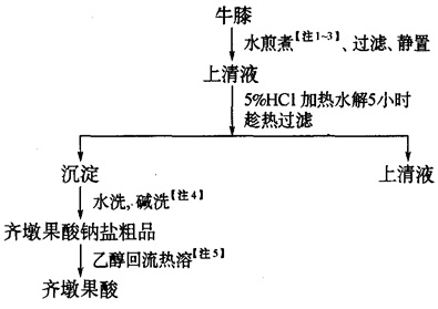 齐墩果酸提取