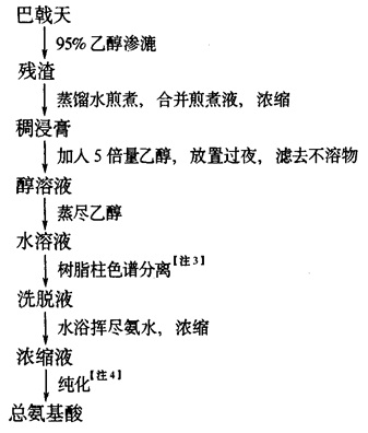 总氨基酸提取工艺