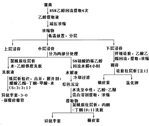 蒲黄中黄酮类部分成分提取分离