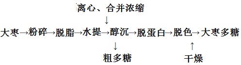 大枣多糖的水提法提取工艺