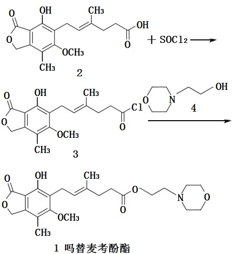 吗替麦考酚酯合成