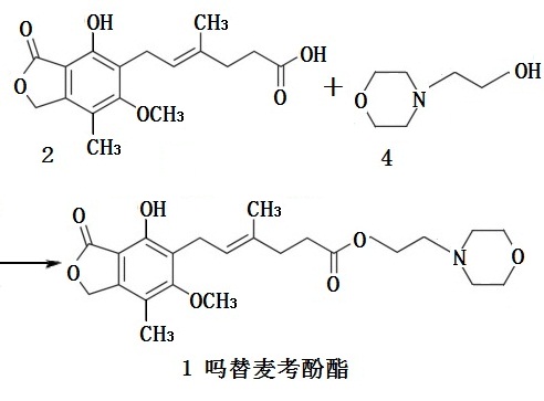 吗替麦考酚酯合成