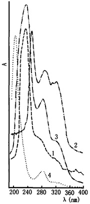 地骨皮的紫外光谱图
