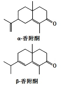 结构式