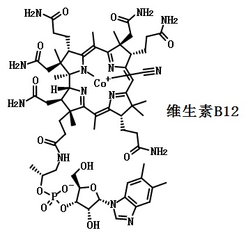 维生素b12的结构