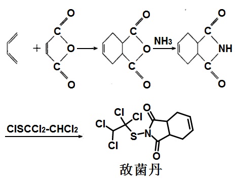 敌菌丹的合成路线