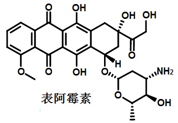 表阿霉素的结构式