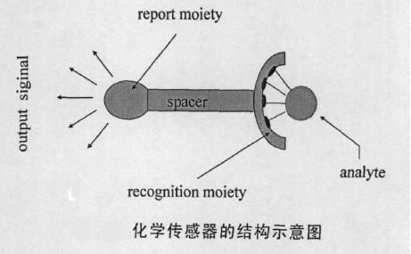 化学传感器的结构