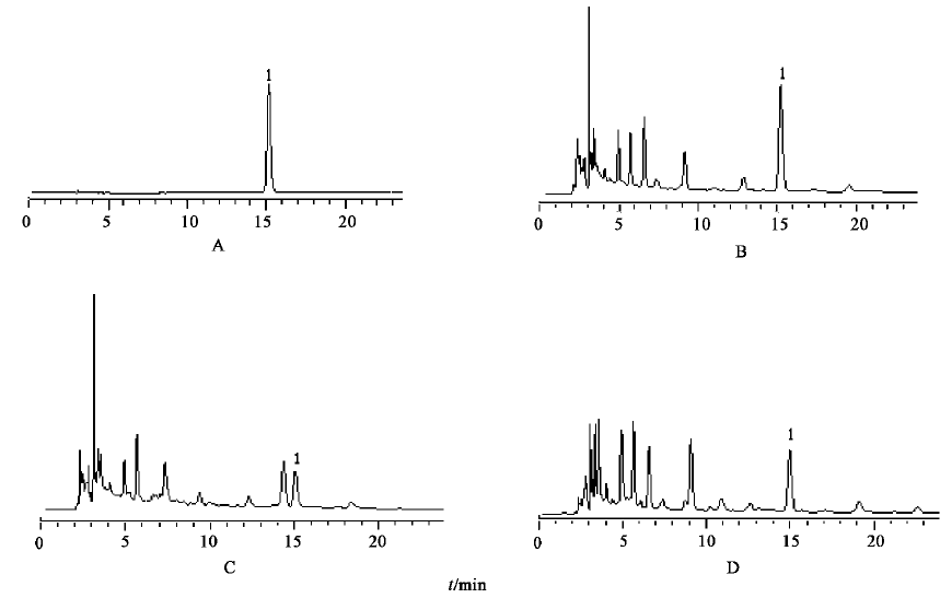 对照品及样品的 HPLC