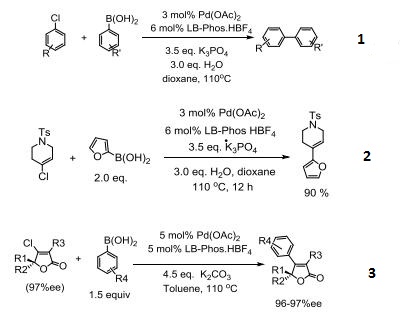 Reactions of 1217887-12-1_1