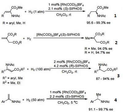 Reactions of 443965-14-8_1