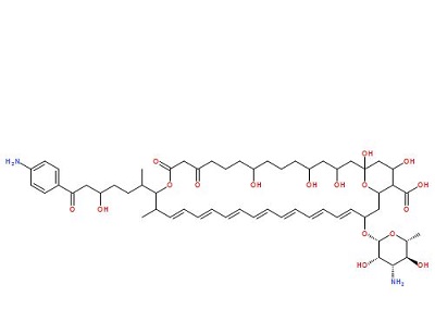 阿米巴菌