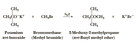 tert-Butyl methyl ether | 1634-04-4