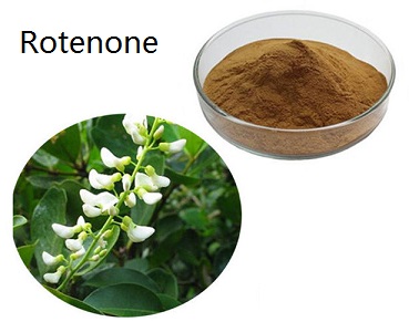What is rotenone insecticide
