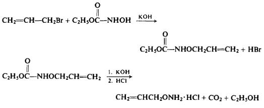Preparation of O-Allylhydroxylamine Hydrochloride