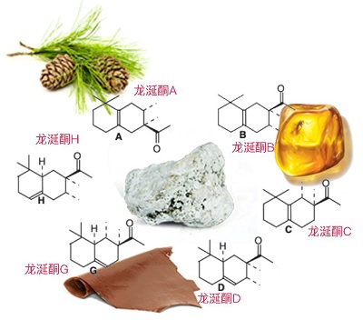 龙涎酮异构体