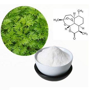 Pure Natural Artemisia Annua Extract Artemisinin 98% Artemisinine Extract  Powder - China Artemisinin, 63968-64-9