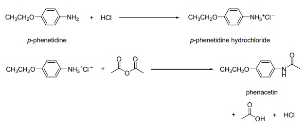 Synthesis of Phenacetin