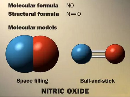 一氧化氮 分子结构