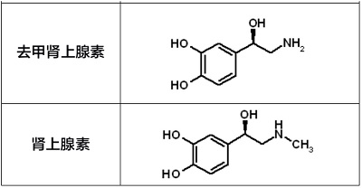 肾上腺素与去甲肾上腺素 结构