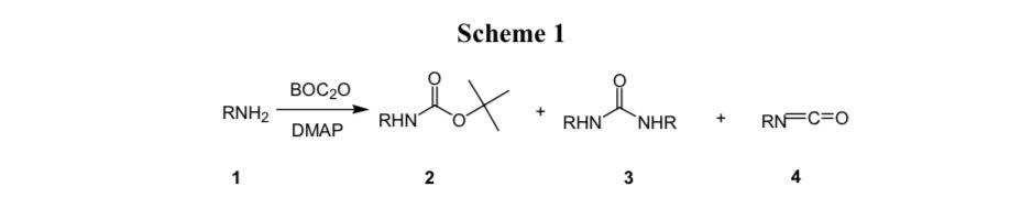 Boc2o Dmap与amines和alcohols的副反应