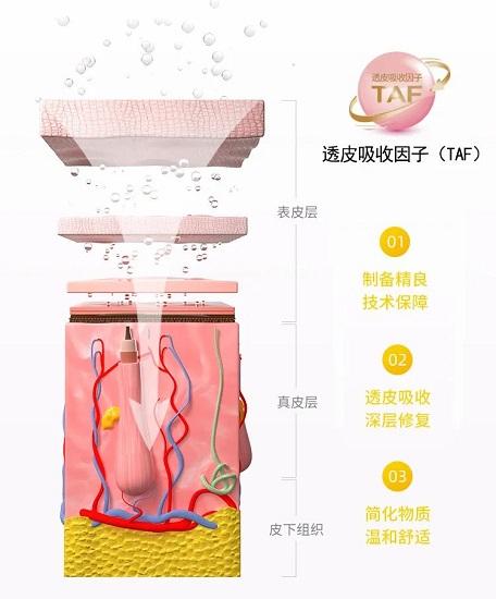 氨甲环酸治疗黄褐斑的原理及临床应用