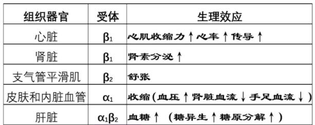 阿替洛尔美托洛尔图片