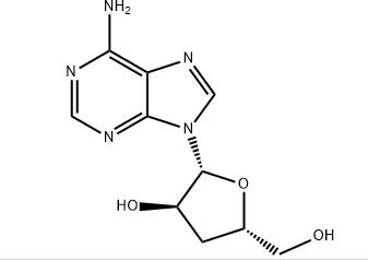 虫草素的合成机制研究