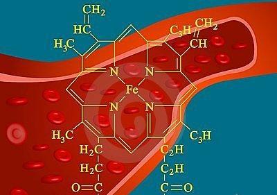 什么是血红素?