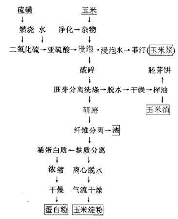 玉米淀粉生产工艺介绍