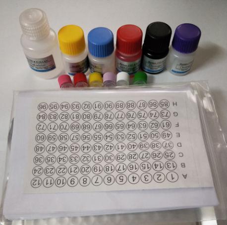 DNA磷酸化试剂盒