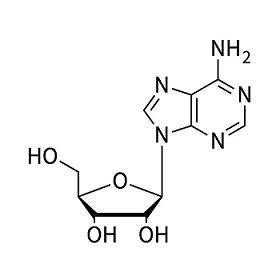 腺嘌呤核糖核苷酸图片